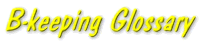 bee glossary